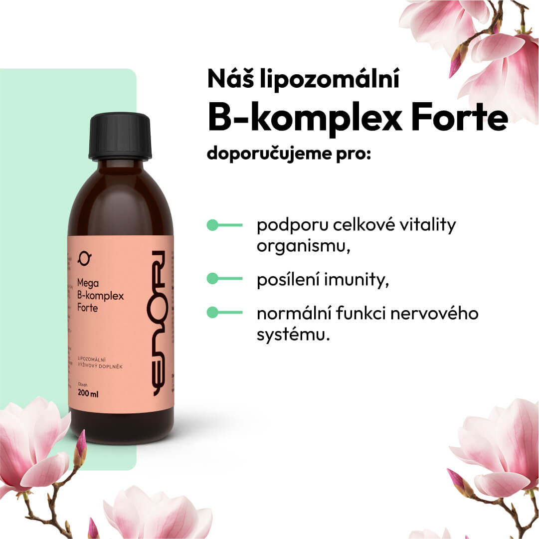 Mega B-komplex Forte